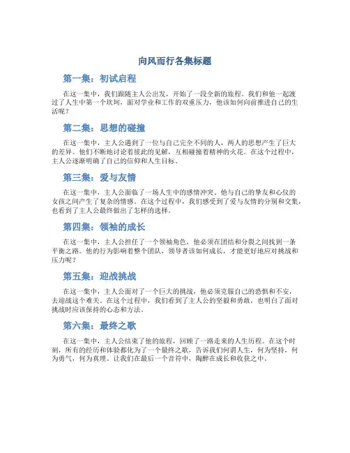 向风而行各集标题