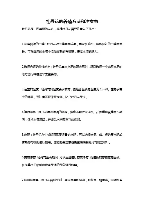 牡丹花的养殖方法和注意事