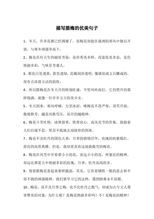 描写腊梅的优美句子