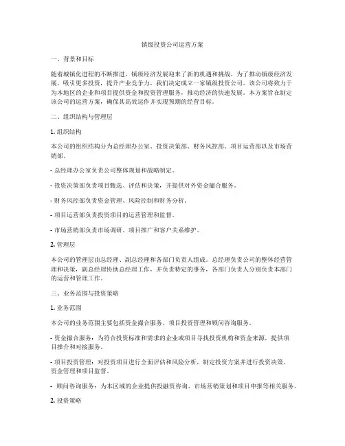 镇级投资公司运营方案