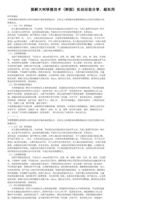 图解大树移植技术（附图）实战经验分享，超实用