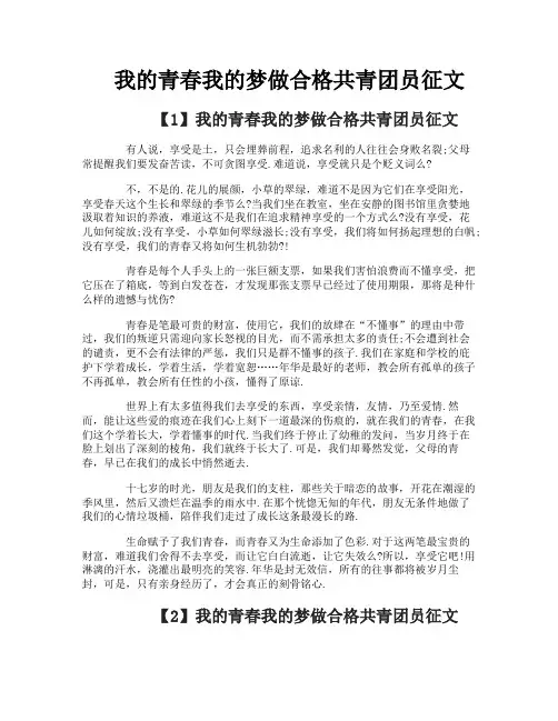 我的青春我的梦做合格共青团员征文-7