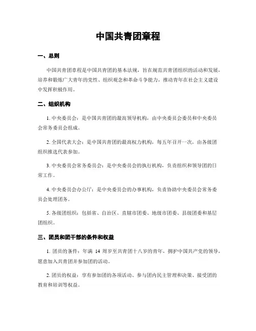 中国共青团章程
