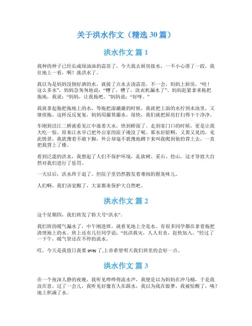 关于洪水作文(精选30篇)
