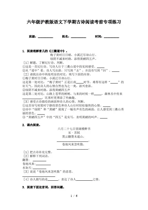 六年级沪教版语文下学期古诗阅读考前专项练习