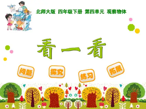 北师大版小学数学四年级下册第四单元《观察物体—看一看》课件