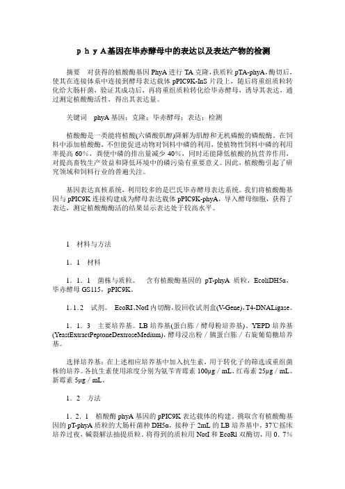 phyA基因在毕赤酵母中的表达以及表达产物的检测