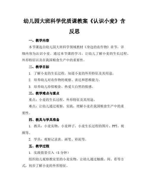 幼儿园大班科学优质课教案《认识小麦》含反思