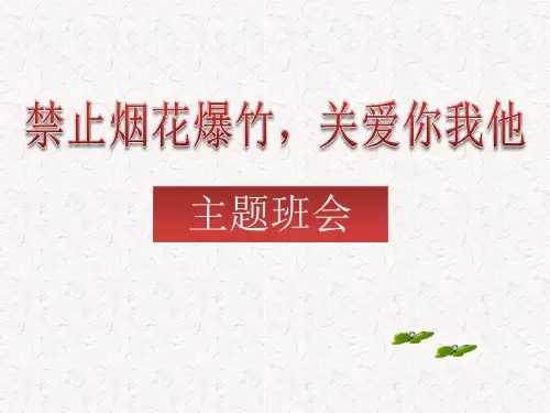 禁止燃放烟花爆竹主题班会ppt课件