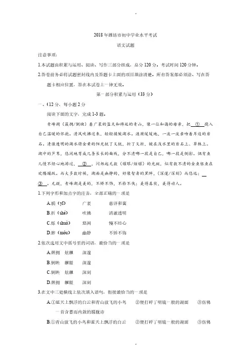 山东潍坊市2018年初中学业水平考试语文试题及答案(46)