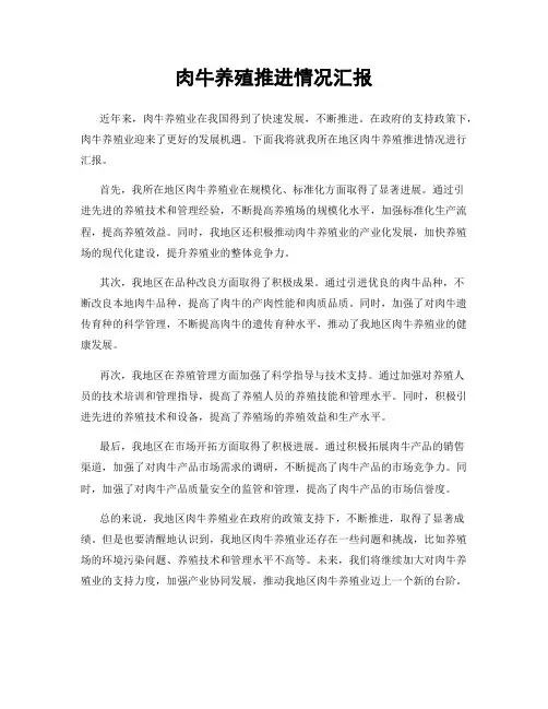 肉牛养殖推进情况汇报