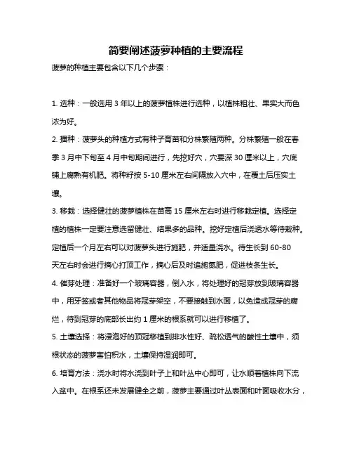 简要阐述菠萝种植的主要流程