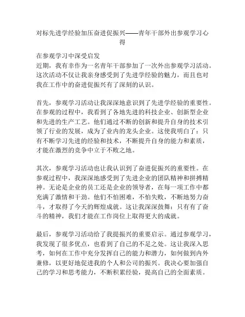 对标先进学经验加压奋进促振兴——青年干部外出参观学习心得
