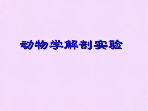 动物学解剖实验