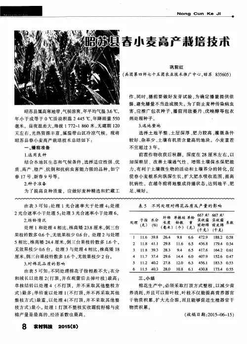 昭苏县春小麦高产栽培技术