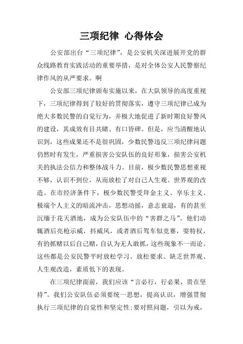 三项纪律 心得体会