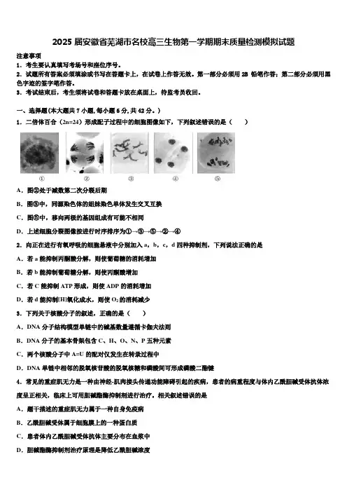 2025届安徽省芜湖市名校高三生物第一学期期末质量检测模拟试题含解析