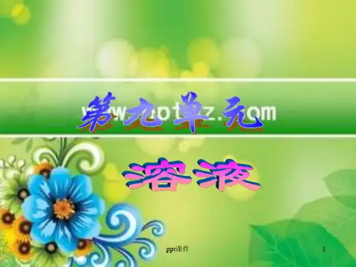 初三化学《溶液》  ppt课件
