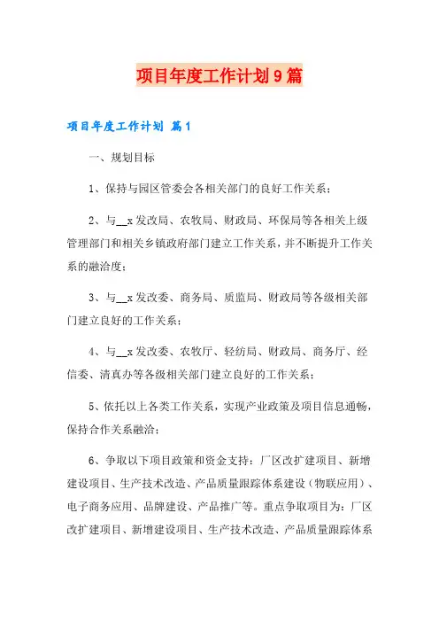 项目年度工作计划9篇