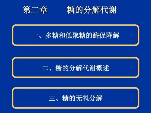 生物化学(2)第二章  糖的分解代谢