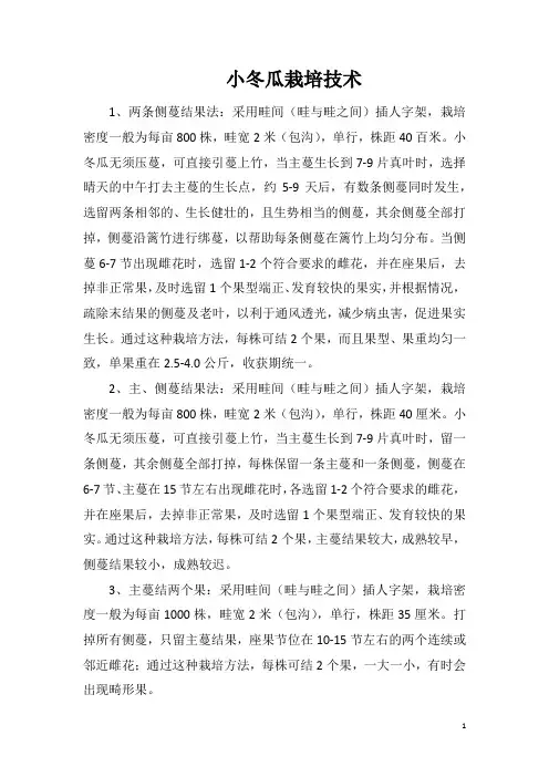 小冬瓜栽培技术