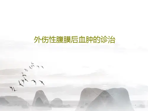 外伤性腹膜后血肿的诊治课件