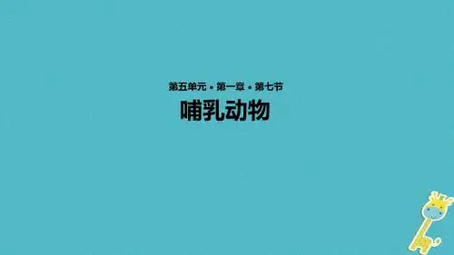 【人教版】2017年秋八年级生物上册5.1.7《哺乳动物》ppt教学课件15页(共15张PPT)