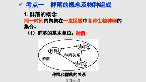 群落的结构和演替一轮复习PPT课件
