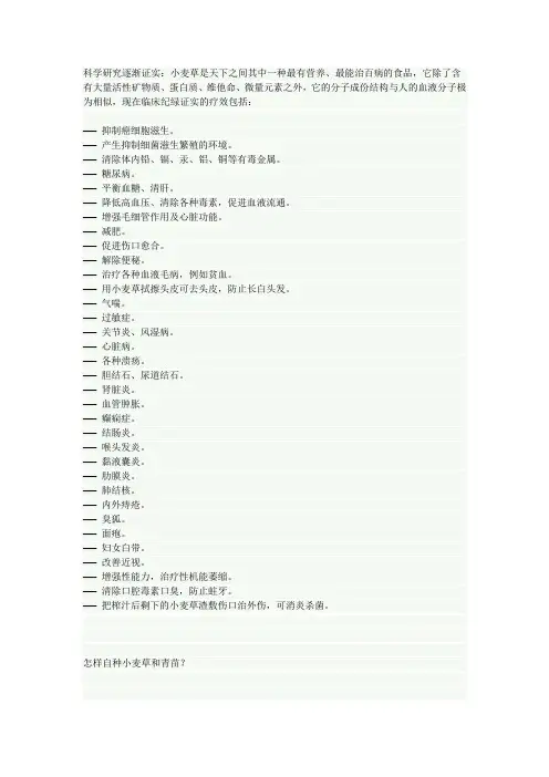 小麦草的功效和种植