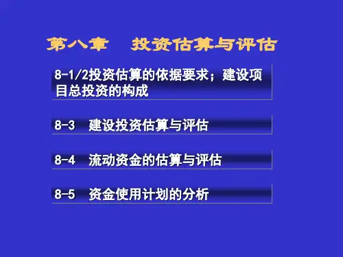 项目投资估算与评估