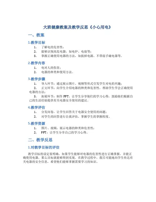 大班健康教案及教学反思《小心用电》