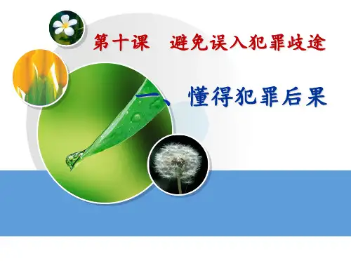 职业道德与法律第十课避免误入犯罪歧途 ppt课件