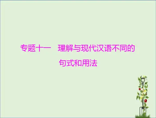 2015高考语文一轮复习课件：专题十一-理解与现代汉语不同的句式和用法分析