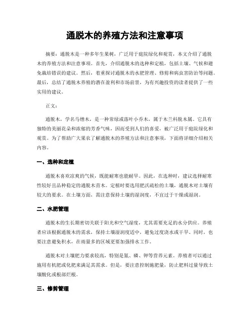 通脱木的养殖方法和注意事项