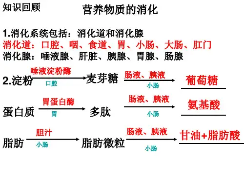 人教版生物七年级下册第一章第二节消化和吸收第二课时及第三节合理膳食与食品安全