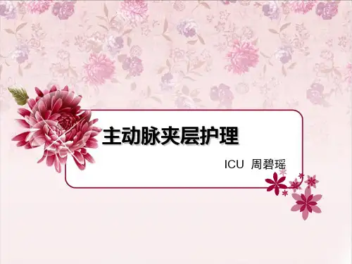 主动脉夹层护理 PPT课件