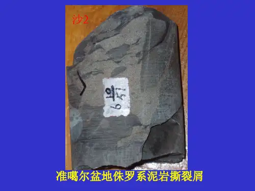 沉积基础和相概念2
