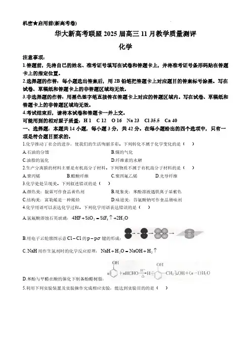 华大新高考联盟2025届高三11月教学质量测评化学试卷+答案