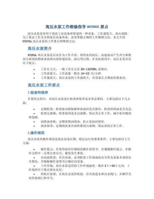 高压水泵工作维修指导WOMA要点