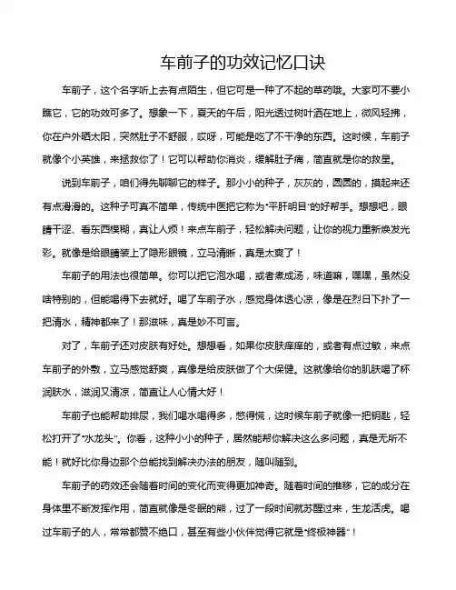 车前子的功效记忆口诀