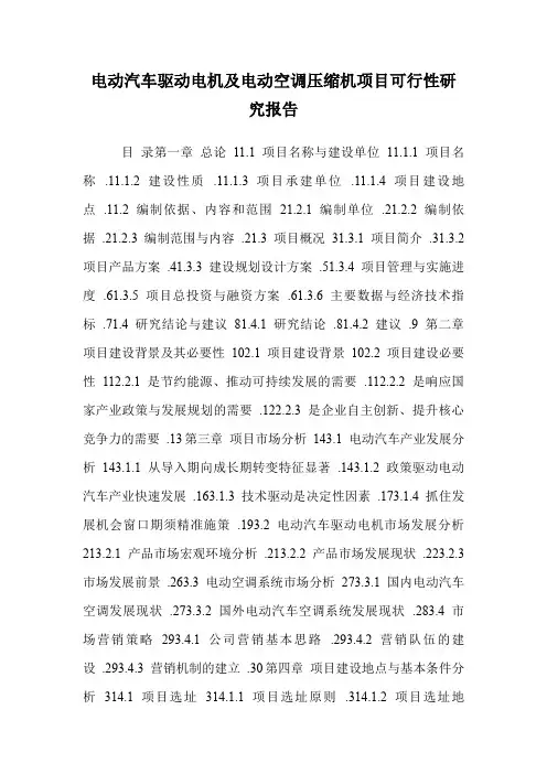 电动汽车驱动电机及电动空调压缩机项目可行性研究报告