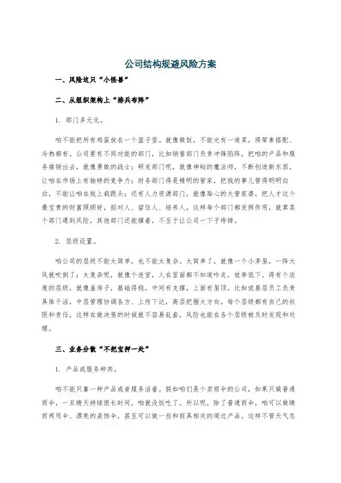 公司结构规避风险方案