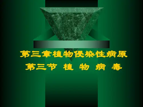 第三章第二节 植物病毒