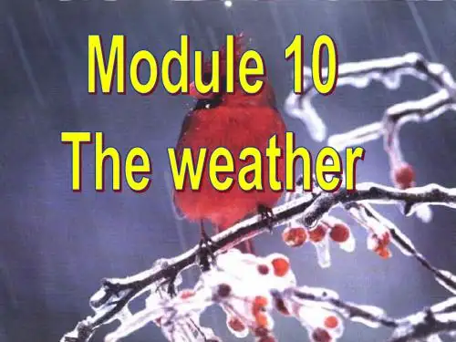 外研版八年级英语上册Module10 Unit1课件(共43张PPT)