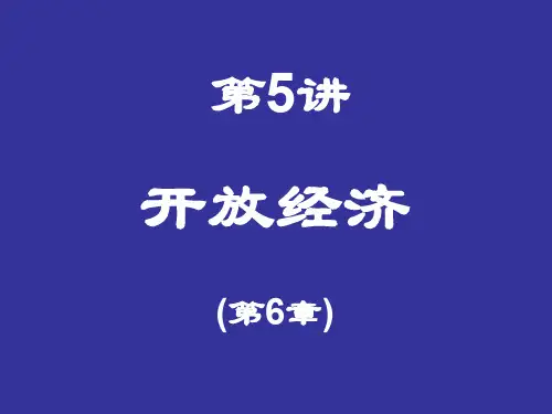 第5讲 开放经济