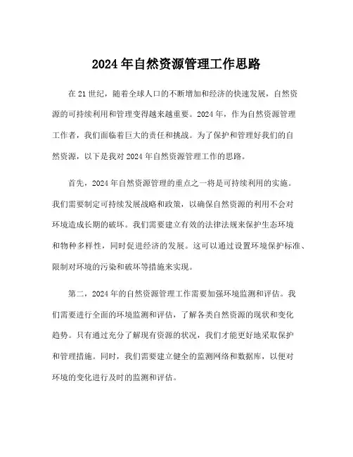 2024年自然资源管理工作思路
