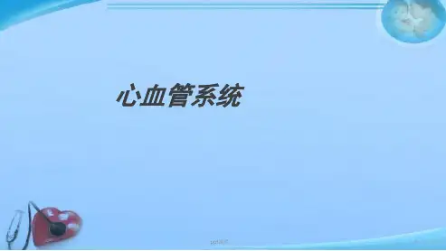 病理学-心血管系统  ppt课件