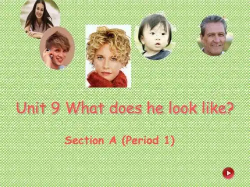 Unit9WhatdoeshelooklikeSectionA(Period1)教学课件(新人教版七年级下)