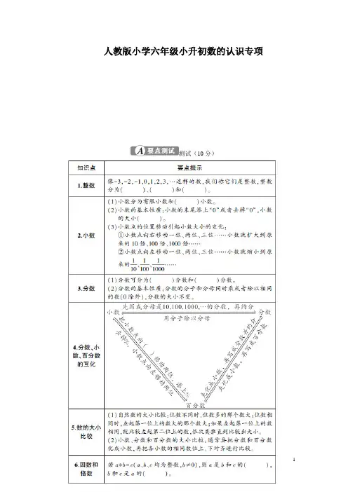 人教版小学六年级小升初数的认识专项