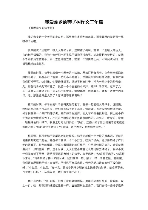 我爱家乡的柿子树作文三年级